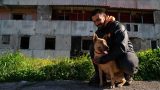 Cani e gatti delle Vele di Scampia: il legame indissolubile tra animali e famiglie in difficoltà