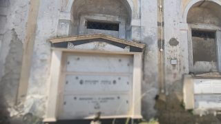 Cipresso in fiamme a napoli: cimitero monumentale chiuso per 4 giorni