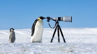 Foto vincenti del contest di fotografia naturalistica 2024