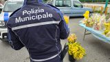 Bancarelle di mimose per l’8 marzo, multe salate nel Napoletano