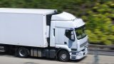 Strage di galline a monselice per il portellone aperto del camion