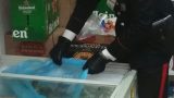 Negozio di alimentari sospeso ad aversa per 500 chili di cibo scaduto