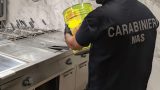 Insetti nel supermercato di Caserta: chiusa l’attività per igiene