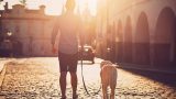 Passeggiata con il cane: come Fido ti guida verso avventure indimenticabili