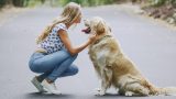 Cani e padroni: perché si somigliano per motivi psicologici