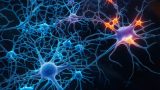 Biomarcatori della sla e dell’alzheimer: come possono rivoluzionare la diagnosi