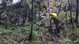 Auto in scarpata, uomo trovato morto nell’abitacolo e indagini in corso
