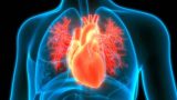 Segnali precoci di malattia cardiaca scoperti da scienziati italiani