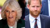 Camilla e Harry in conflitto: la reazione furiosa della regina e il ruolo di Re Carlo