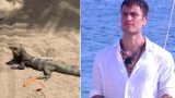 Coccodrillo all’Isola dei Famosi: l’incontro ravvicinato di Petrelli svela tutto