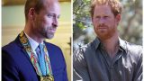 Suicidio nella royal family: il lutto di william e harry